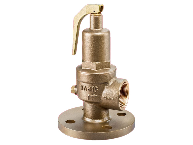 50mm PN16 FLG x 2 1/2" BSPP Fig 500 Safety Valve