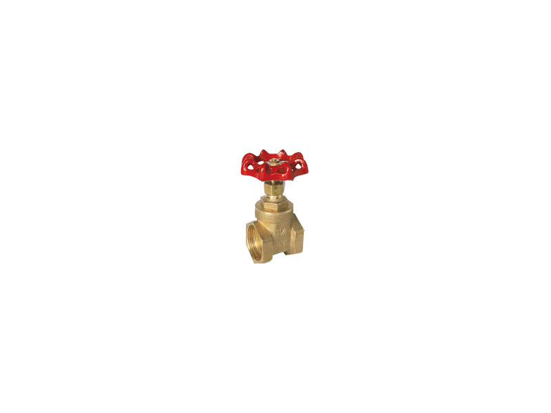 1 1/2" BSP Brass Gate Valve PN16