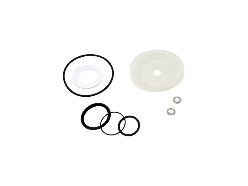 DN32 Fig.500 Seal Kit