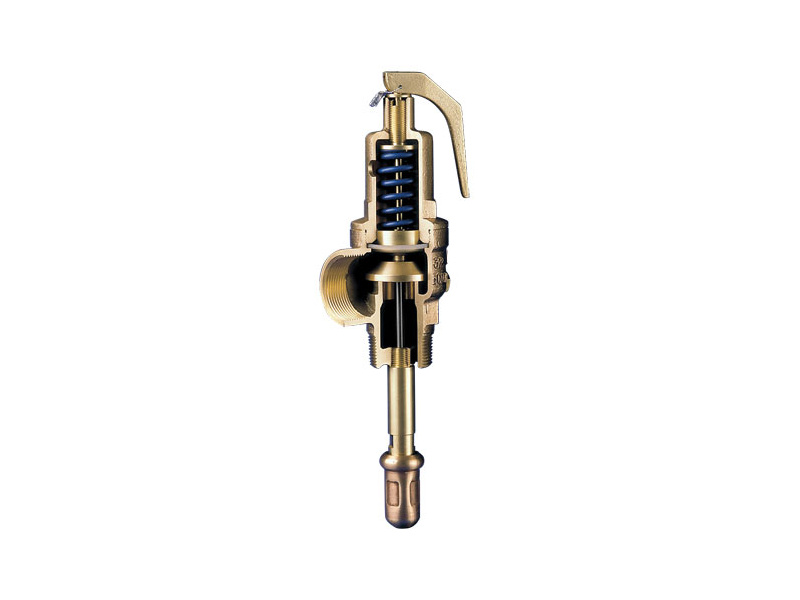 2 1/2" BSP Combined Relief Valve