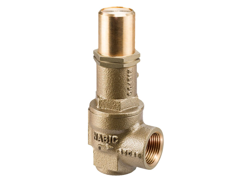 2 1/2" Fig 500L Safety Valve
