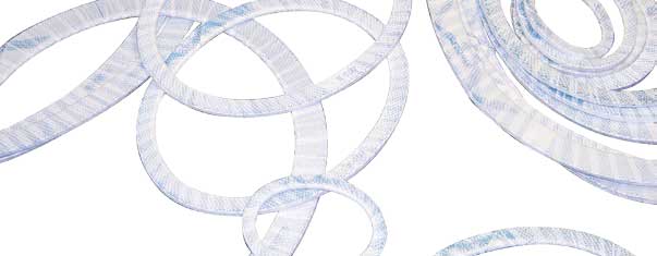 Bluemax-Disclaimer.jpg Bluemax-Disclaimer.jpg